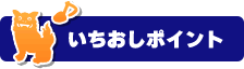 イチ押しポイント