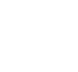 ポイント