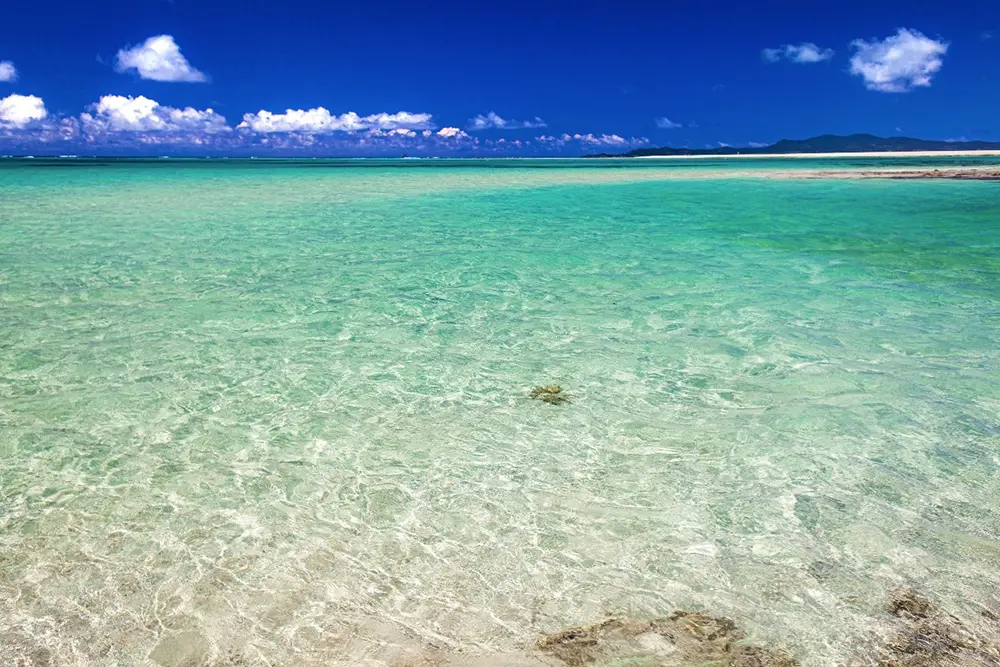 ハテの浜