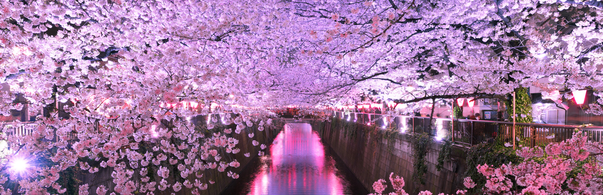 目黒川