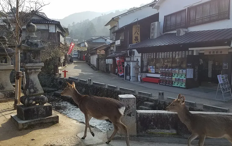 宮島