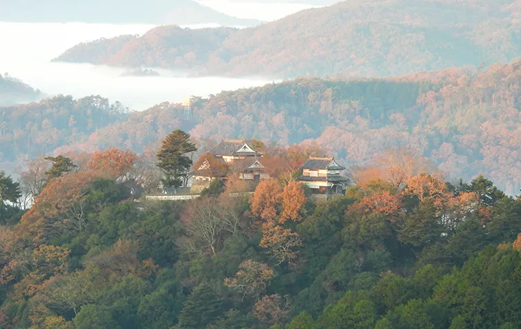 備中松山城