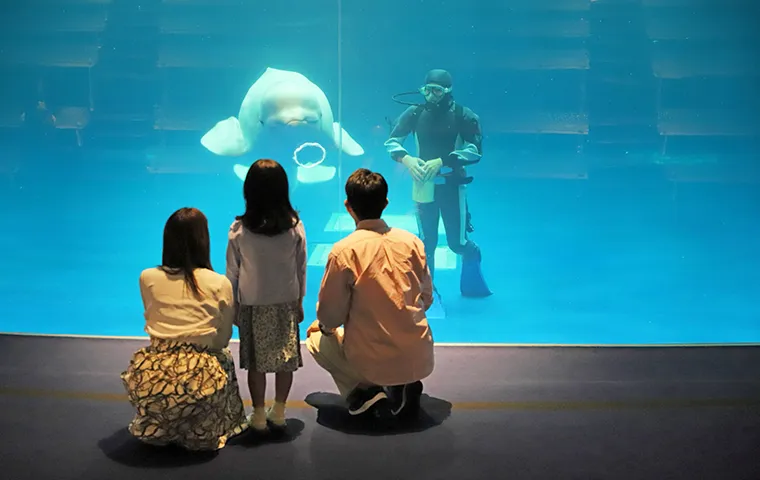 しまね海洋館アクアス