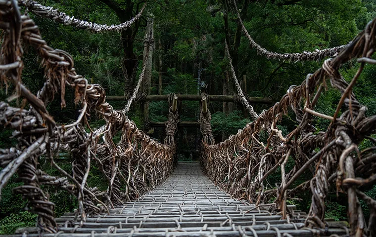 祖谷のかずら橋