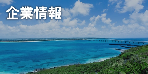 企業情報
