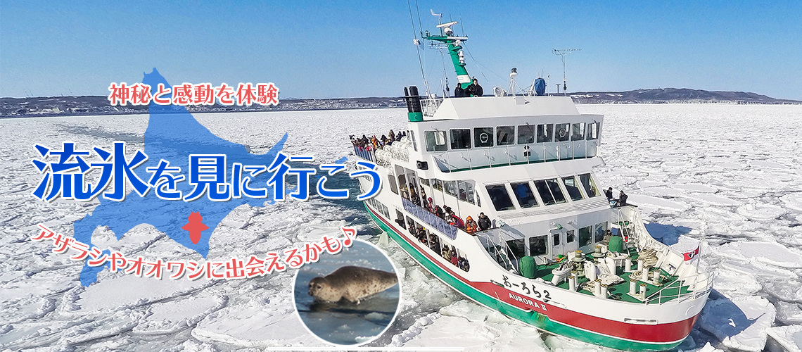 流氷ビューポイント オホーツクドットコム 流氷ビューポイント オホーツクドットコム