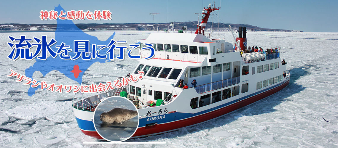 冬の知床・網走!流氷砕氷観光船おーろら号乗船券付! ANAスカイツアーズ