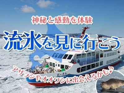『冬』の風物詩、北海道の流氷を見に行こう!