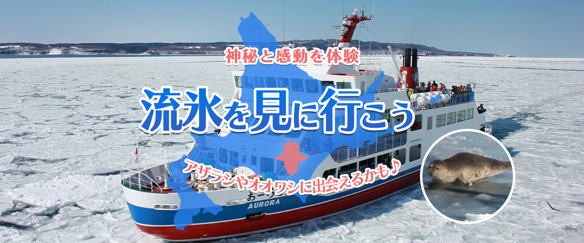 『冬』の風物詩、北海道の流氷を見に行こう!