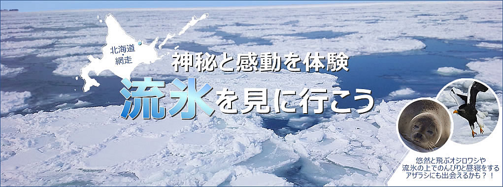 『冬』の風物詩、北海道の流氷を見に行こう!