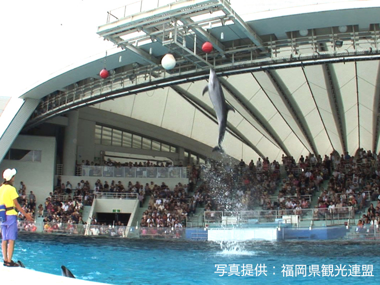 マリンワールド海の中道