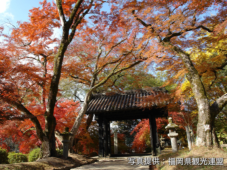 秋月城下町