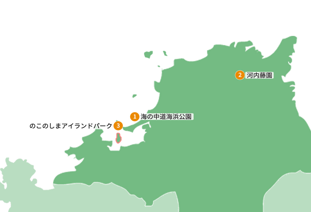観光地図
