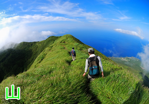画像:山