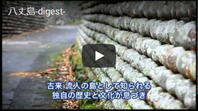 youtube:八丈島-digest-