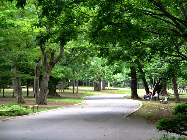 円山公園