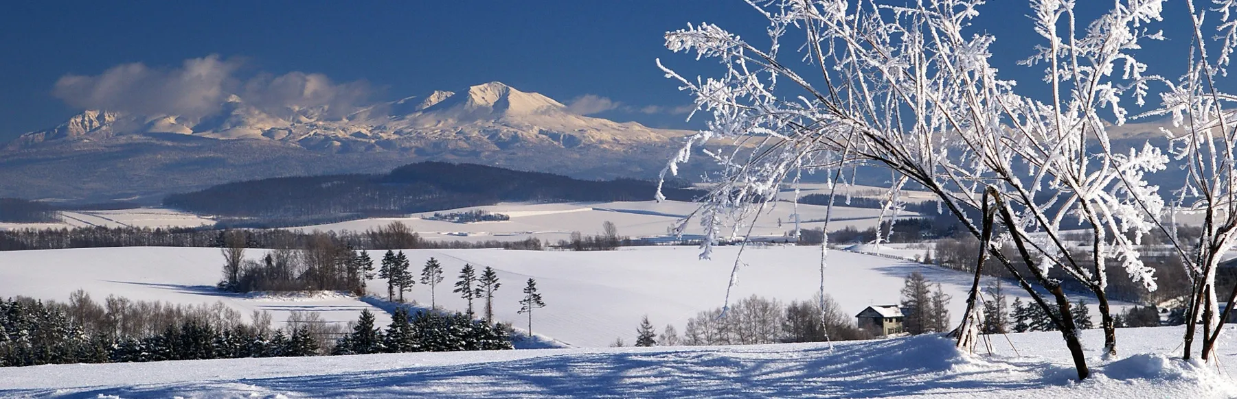 北海道