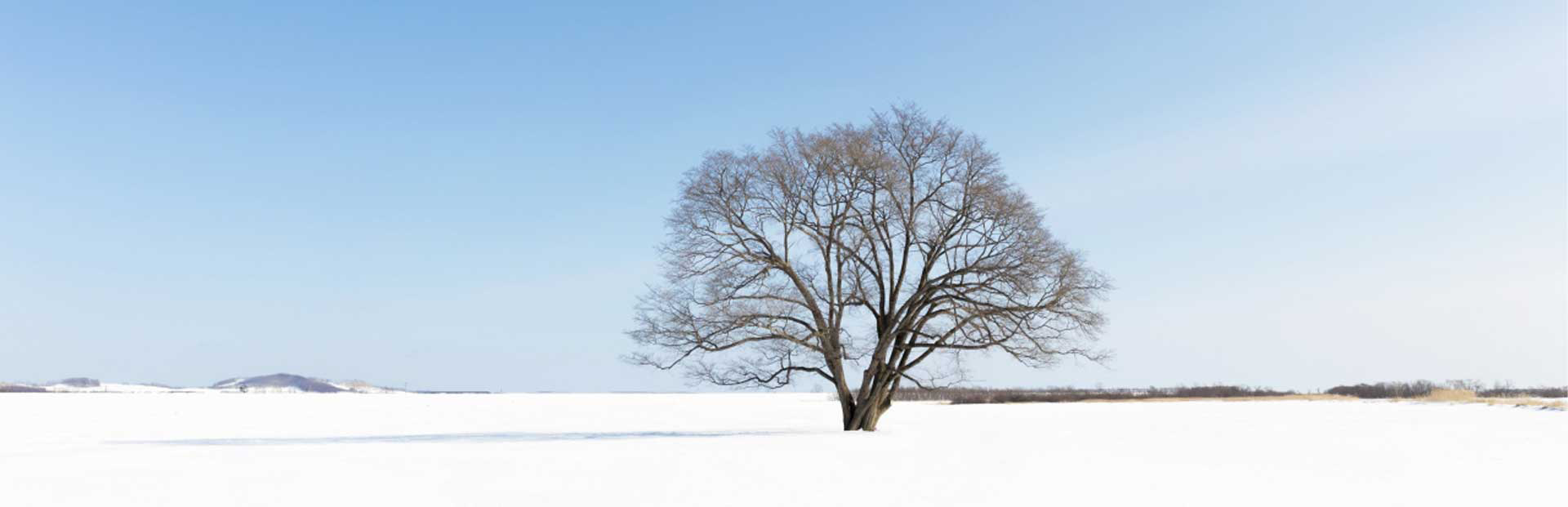 北海道