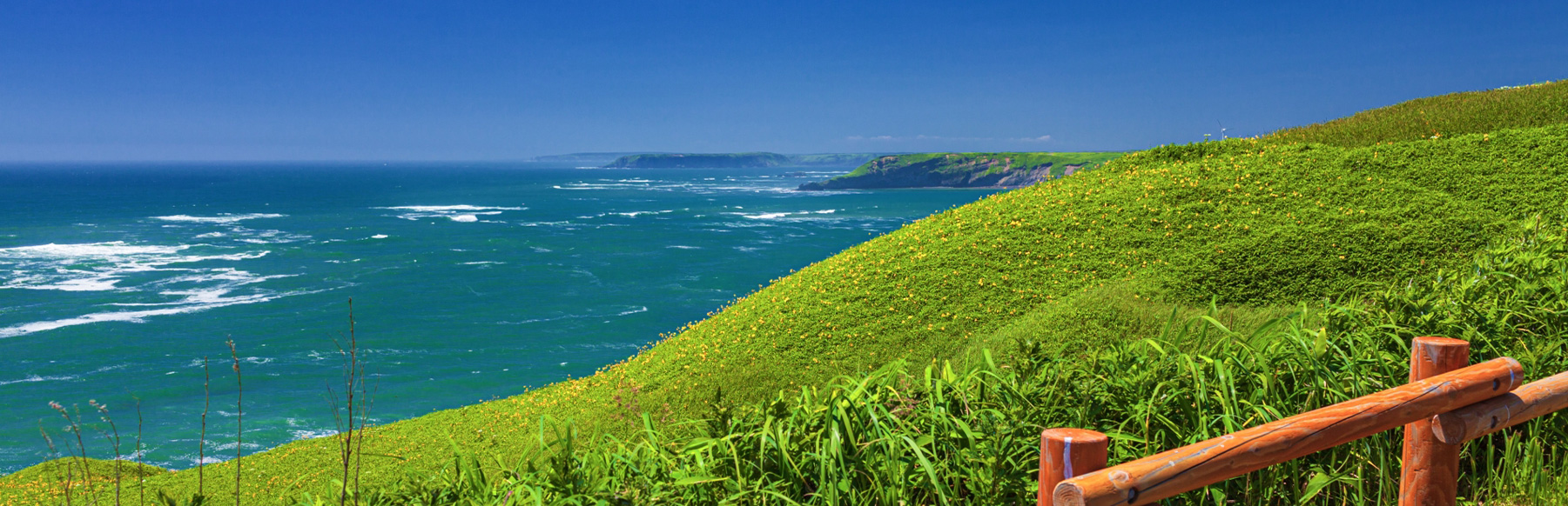 霧多布岬