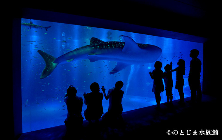のとじま水族館