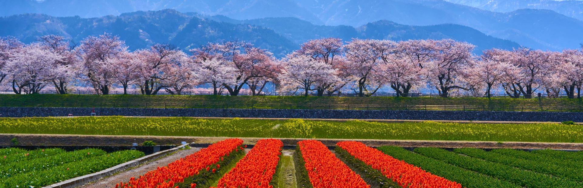 富山