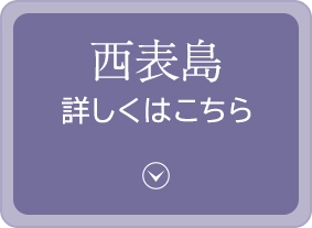 西表島詳細