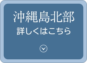 沖縄島北部詳細
