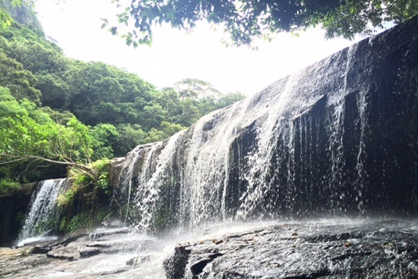 西表島サンガラの滝