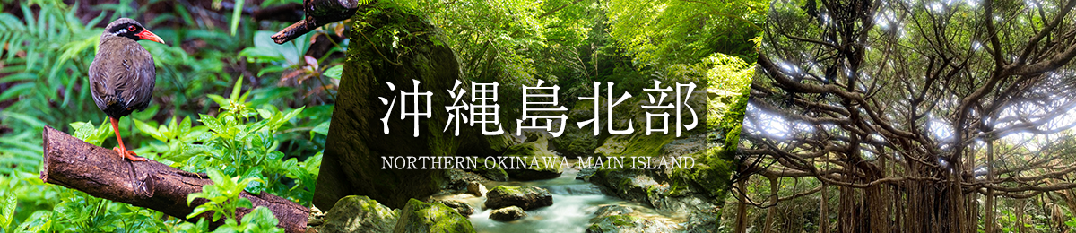 沖縄島北部