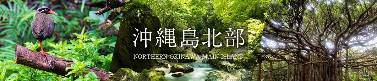 沖縄島北部