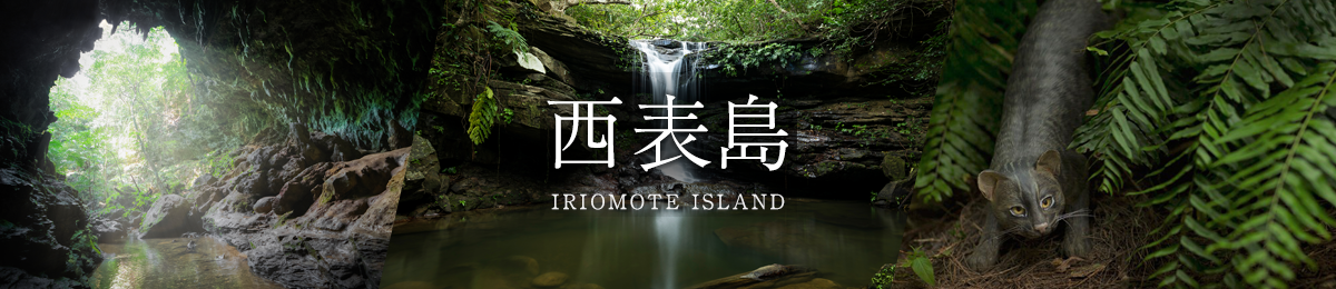 西表島