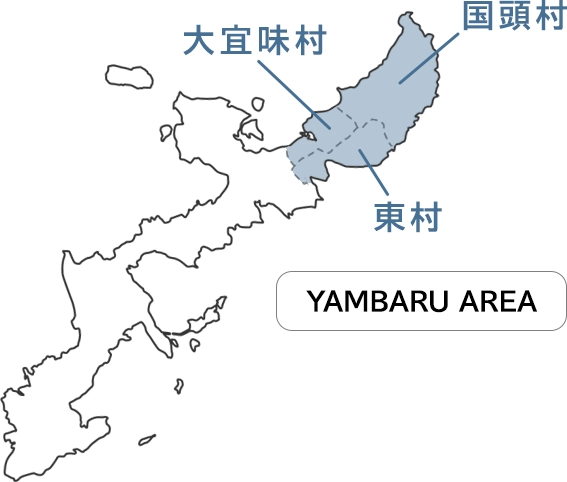 沖縄島北部地図