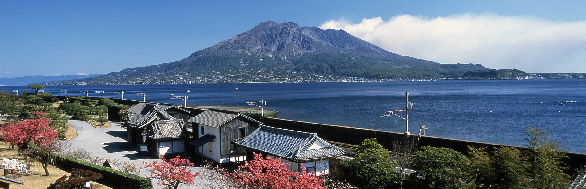 仙巌園 桜島