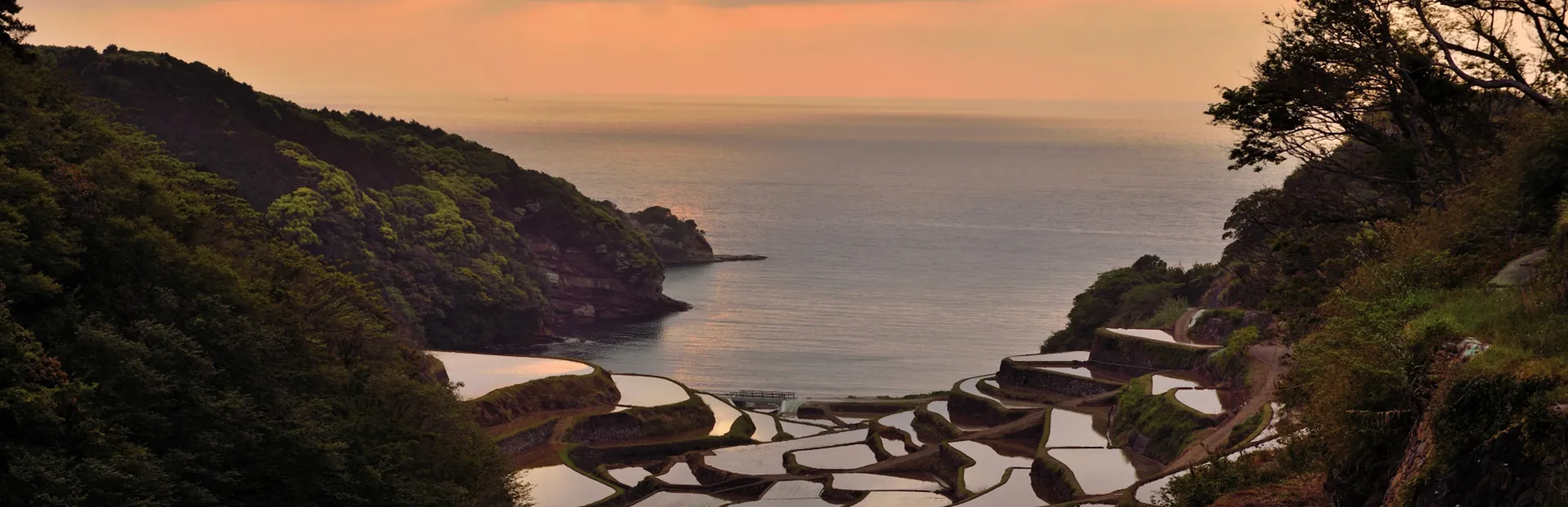 浜ノ浦の棚田