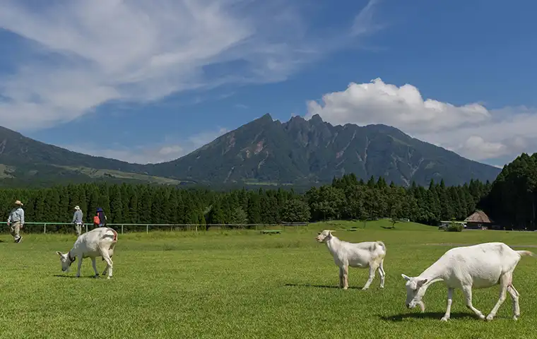 熊本県