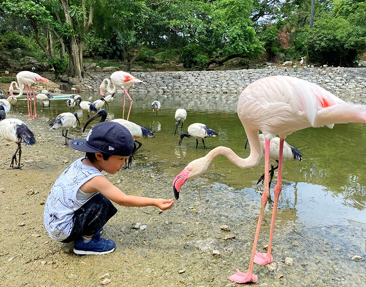 ネオパークオキナワ