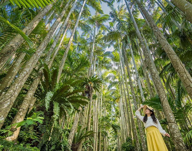 東南植物楽園