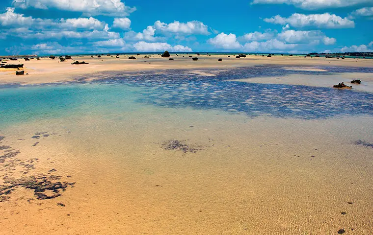 佐和田の浜