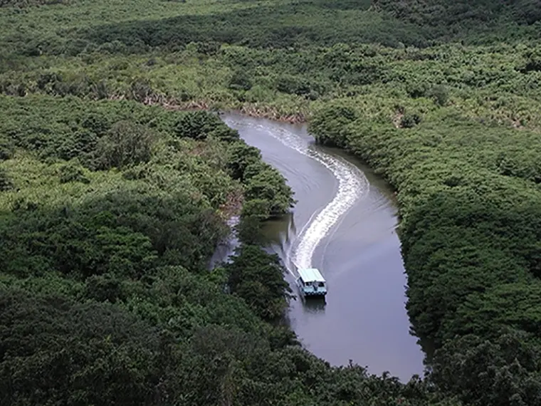世界自然遺産に登録された西表島を日帰りで楽しもう♪西表島観光付き 石垣島泊