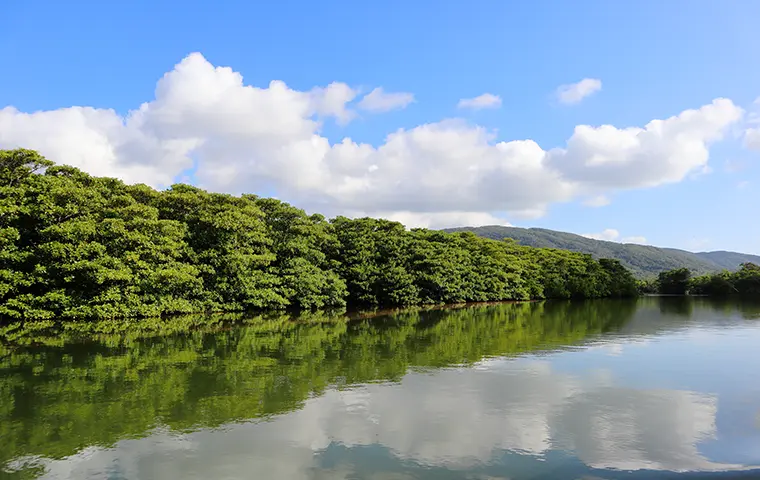 仲間川