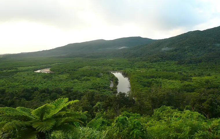 仲間川展望台