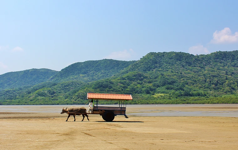 由布島