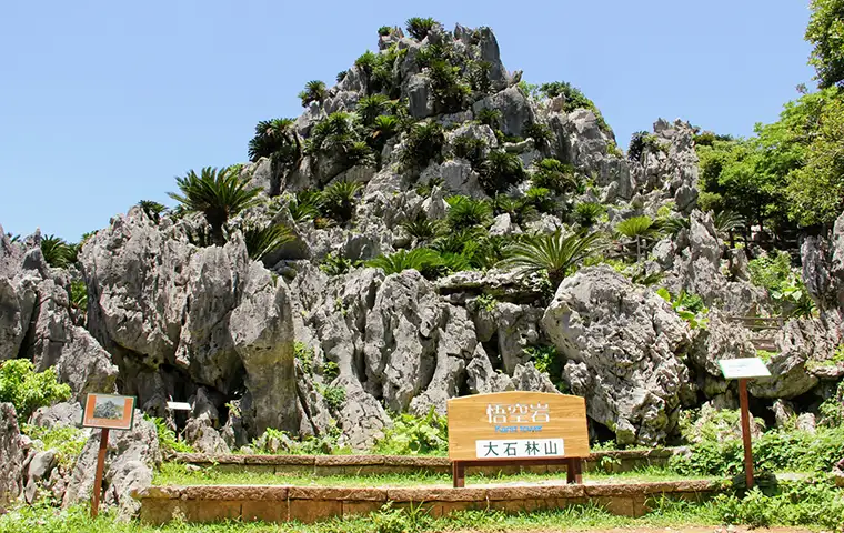 大石林山