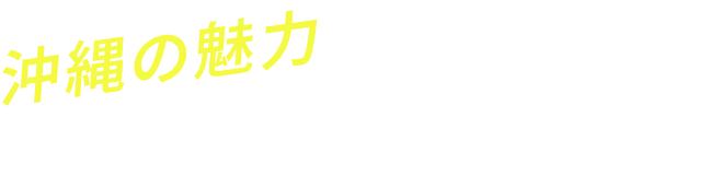 沖縄の魅力を余すことなく楽しめる!