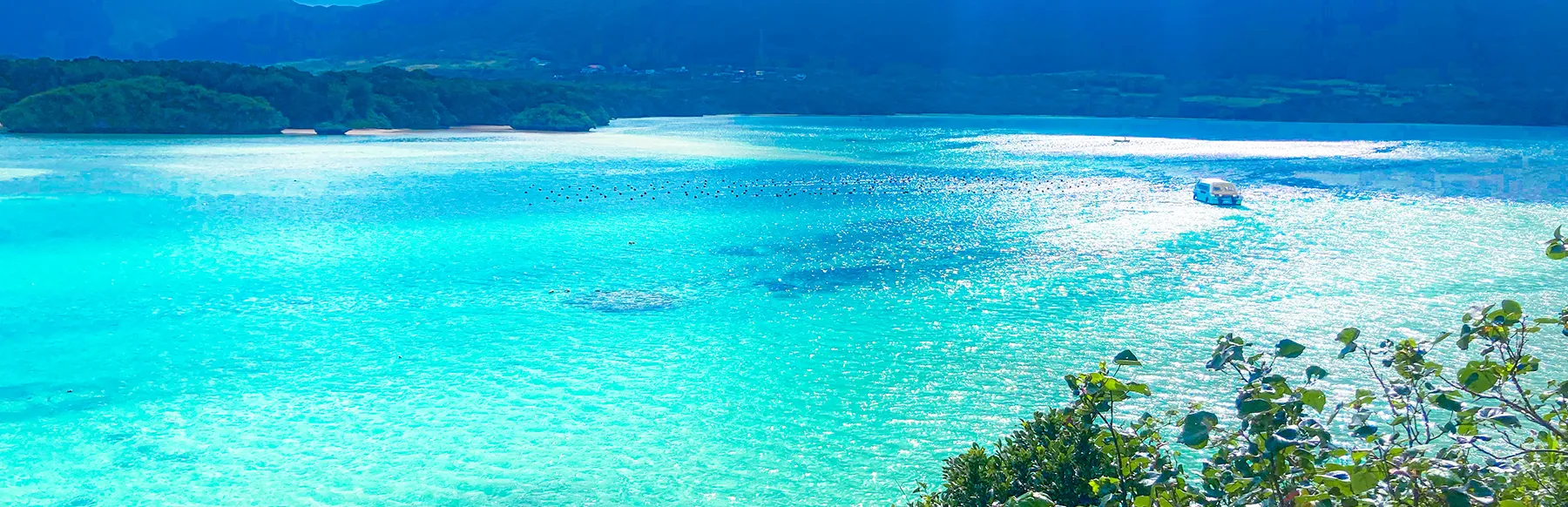石垣島 川平湾