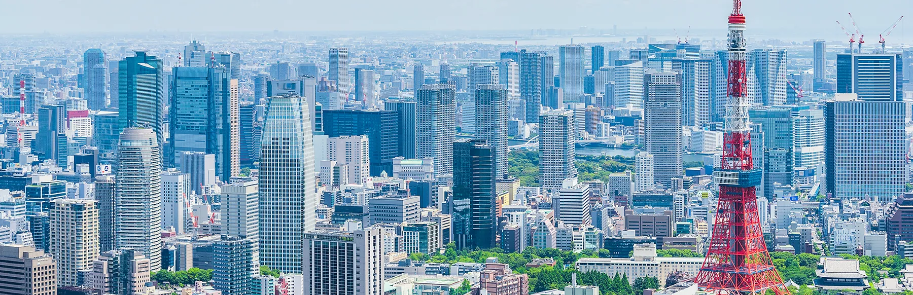 東京 景色