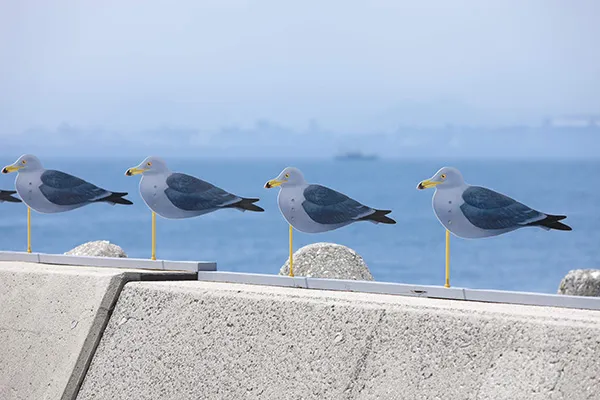 カモメの駐車場