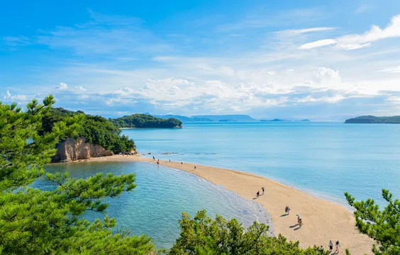 小豆島オリーブロード
