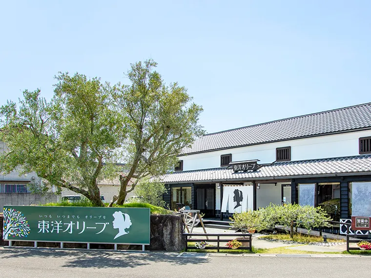 東洋オリーブ