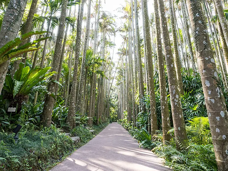 東南植物楽園